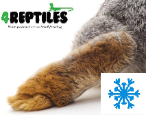 Gefrorene Hasenohren  (1)