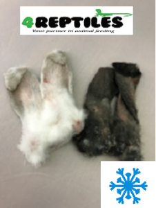 Uszy królicze (mrożone) - 1 para