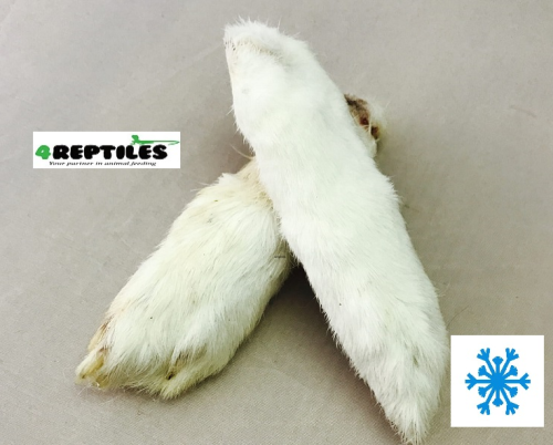 Łapki królicze przednie (mrożone) - 1 para