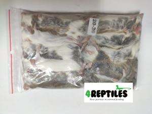 Mastomys (Mastomysz) mrożona 20/30g