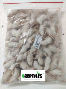 Mysz mrożona 0,5kg  (małe) Kat.II