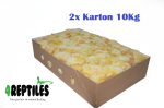 Pisklęta / kurczaki 1-dniowe mrożone   20 kg  PAKIET! 