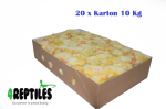 200 Kg Pisklęta 1dniowe [kg] [mrożone] 