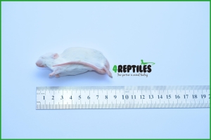 Mysz mrożona 1 kg  30g+ 