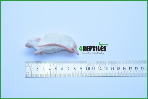 Mysz mrożona 1 kg  30g+ 