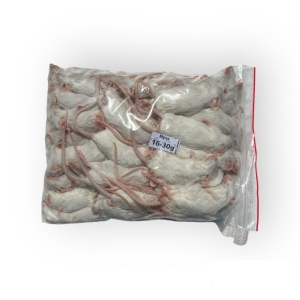 Mysz mrożona 1 kg  16/30g