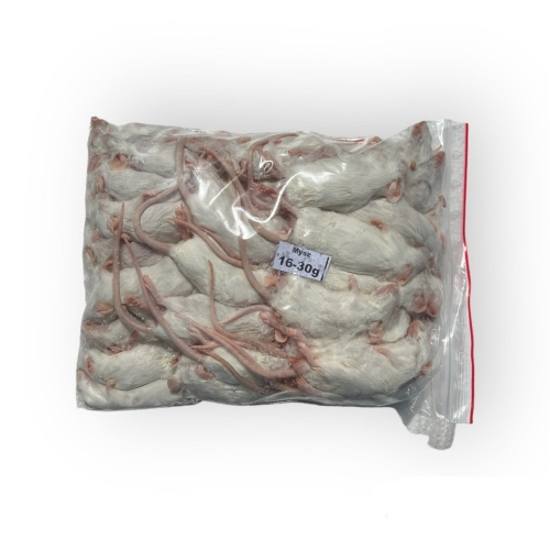 Mysz mrożona 1 kg  16/30g
