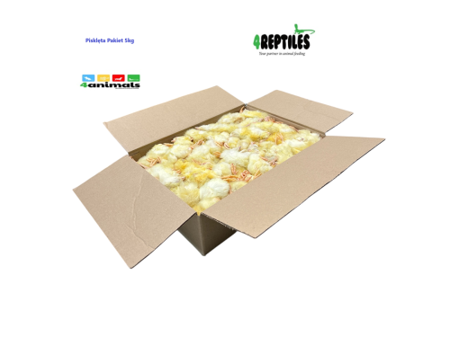 Pisklęta / kurczaki 1-dniowe mrożone   5 kg  PAKIET!