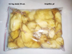 Pisklęta Kacze  5 kg  mrożone 