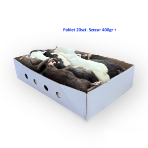 Pakiet Szczury mrożone  +400g - 20 sztuk