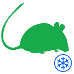 myszy mrożone masto 4reptiles.jpg