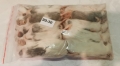 Mastomys (Mastomysz) mrożona 20/30g