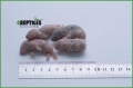 Szczury mrożone oseski / noworodki [5/10g]