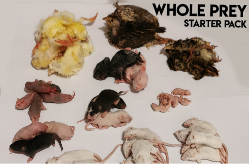 WHOLE PREY STARTER PACK