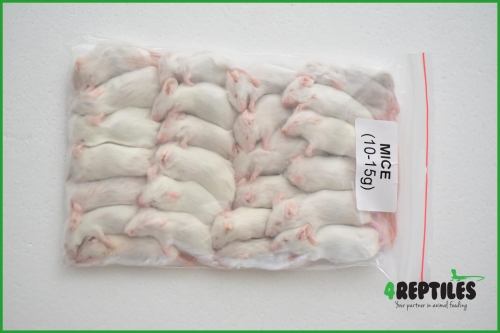 PAKIET 100 SZTUK Myszy mrożone 11/15g