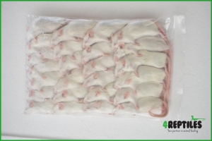 PAKIET 100 SZTUK Myszy mrożone 21/25g 